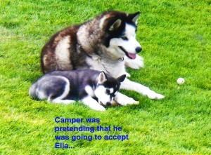 camper and ella