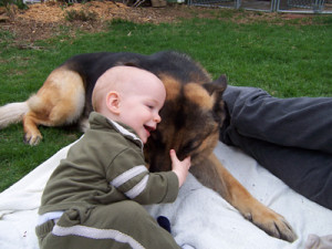 little kid and dog