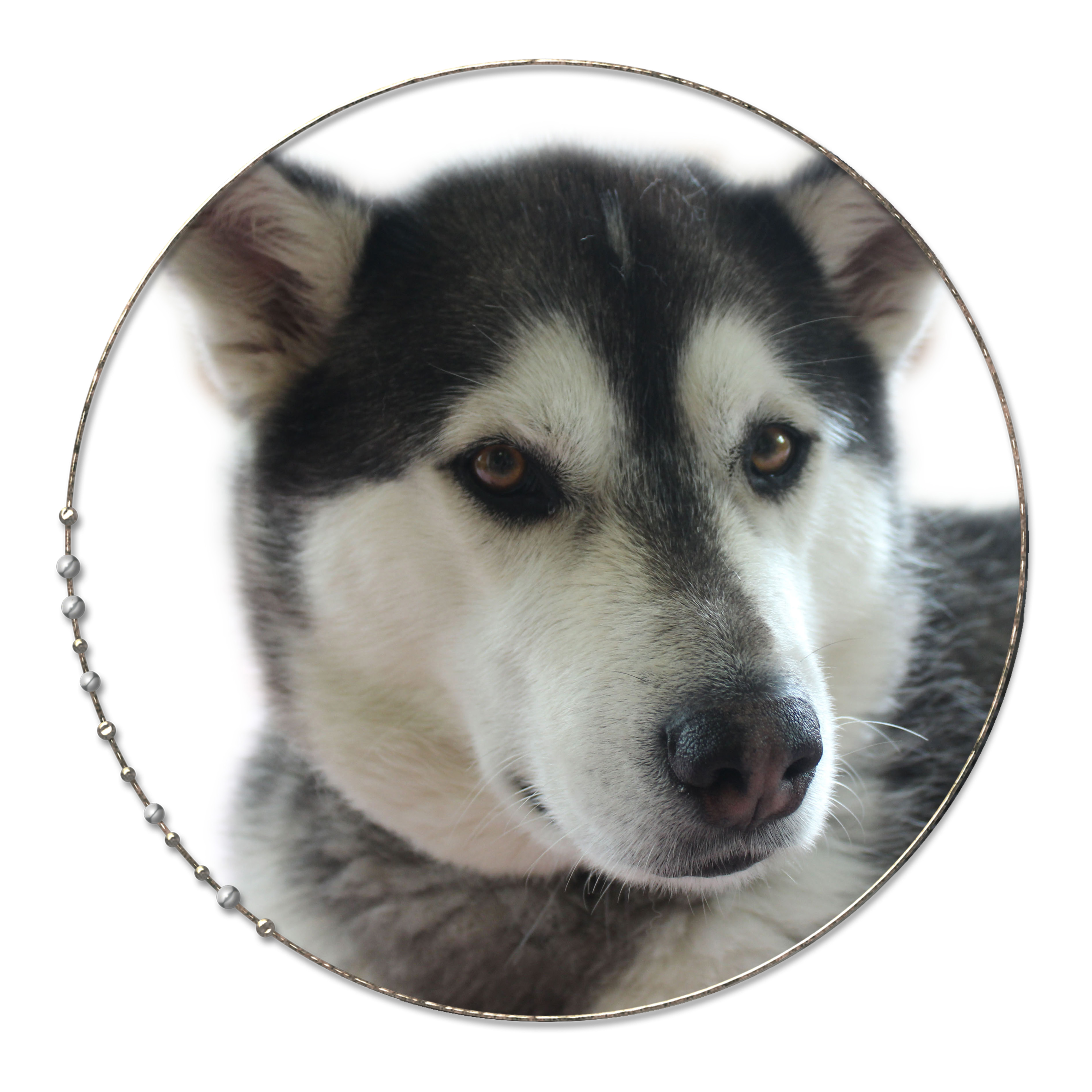 ellas face in frame copy